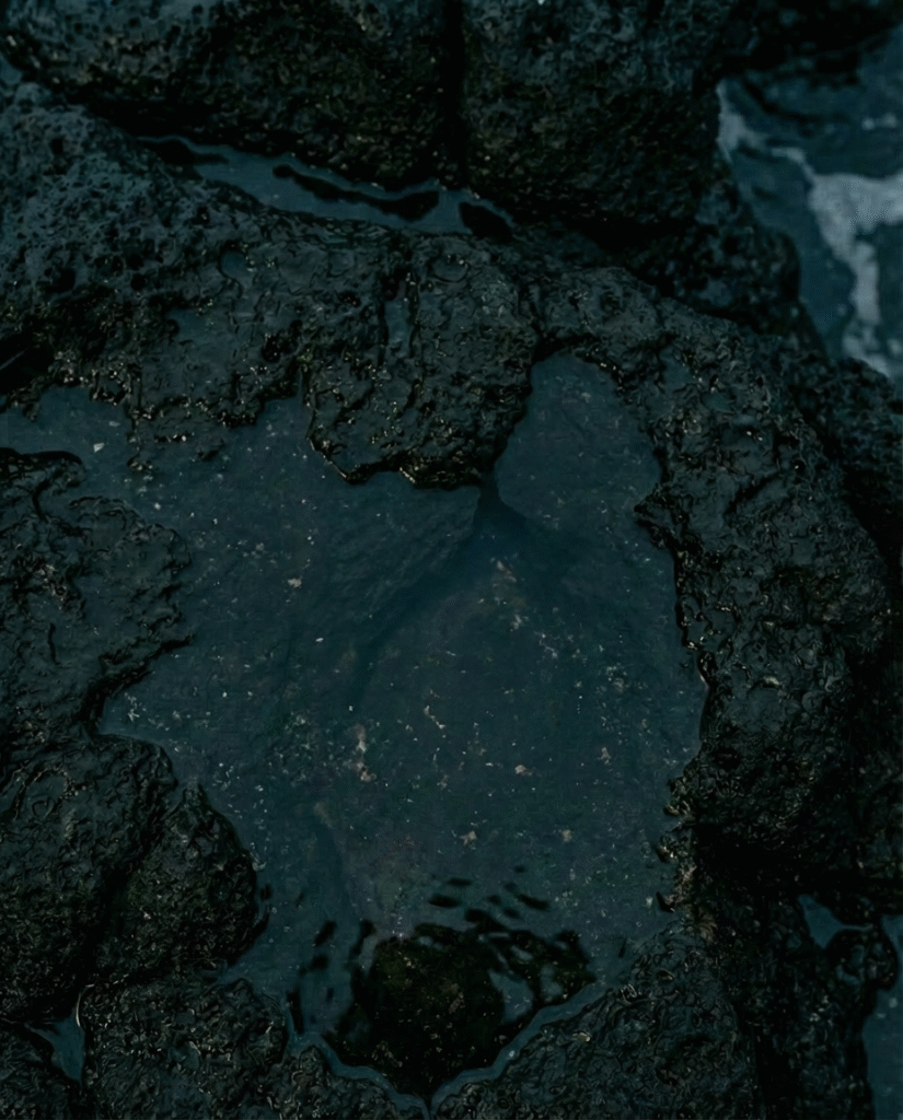 hf 20260127 124224 e6b165da ee6a 468c 96da c1b4652bbbdb2